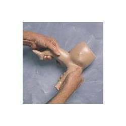 Trainer modello tronco arti neonato Laerdal BABY HIPPY
