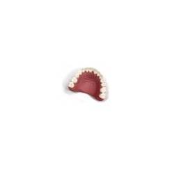 Denti superiori morbidi (vinile) Laerdal