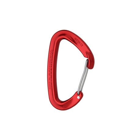 Moschettone asimmetrico Wild Country WILDWIRE