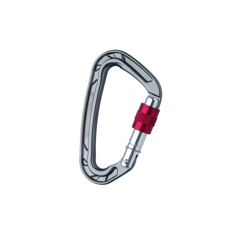 Moschettone asimmetrico Wild Country ION KEYLOCK
