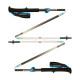 Bastoncini trekking Black Diamond DISTANCE FLZ