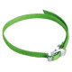 Cintura Alp Design STRIP