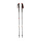 Bastoncini trekking Black Diamond TRAIL PRO SHOCK