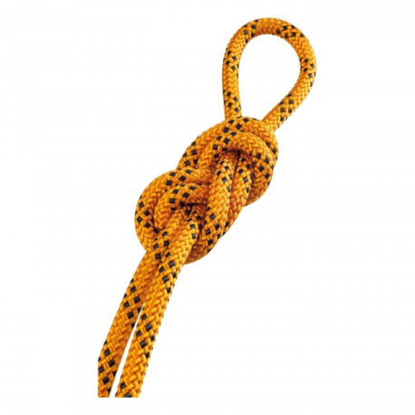 Corda da arrampicata Salewa BASE 9,8MM