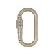 Moschettone DMM 10mm Steel Oval