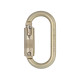 Moschettone DMM 10mm Steel Oval