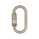 Moschettone DMM 10mm Steel Oval