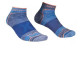 ALPINIST LOW SOCKS M Calze uomo