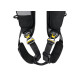 Imbragatura anticaduta Petzl NEWTON EASYFIT vers. internazionale