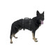 K9 PROSERIES RAPPEL imbrago per cani