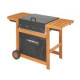 Adelaide 3 Woody Dualgas barbecue a gas