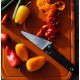 PRIMUS FIELDCHEF POCKET KNIFE - Coltello pieghevole da campeggio