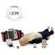 Manichino addestramento Laerdal RESUSCI ANNE Q-CPR/D