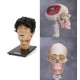 Simulatore testa trauma Laerdal MR HURT