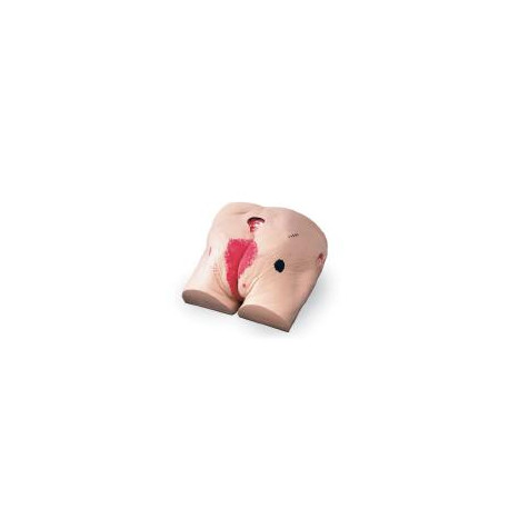 Trainer per assistenza e cura lesioni Laerdal